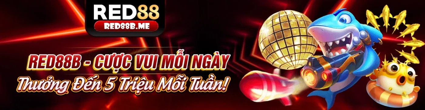 Nền tảng cá cược an toàn bet11 nổ hũ